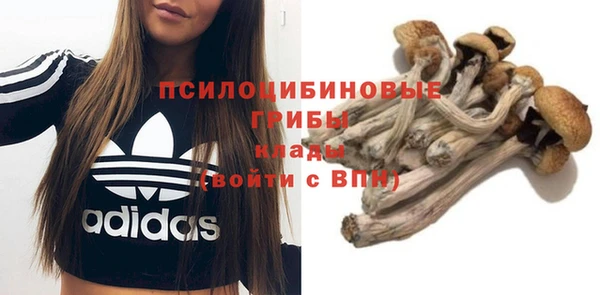 а пвп мука Богданович
