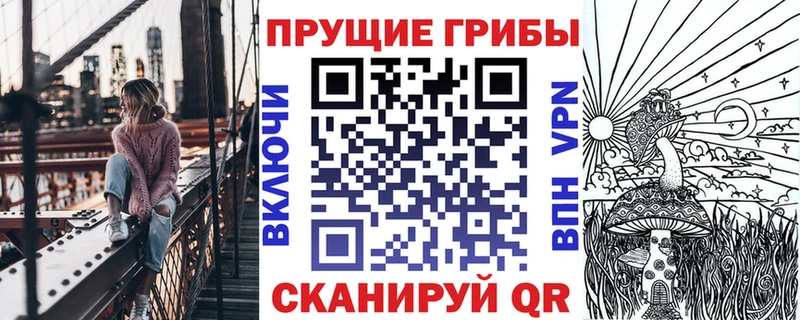 как найти наркотики  Валдай  Галлюциногенные грибы ЛСД 